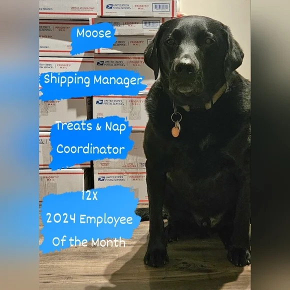 WELCOME ♡ - Picture 2 of 10